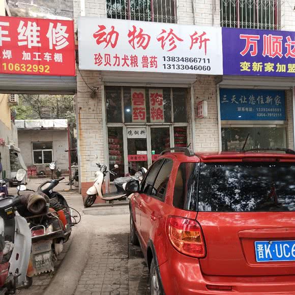 动物诊所:晋中市灵石县