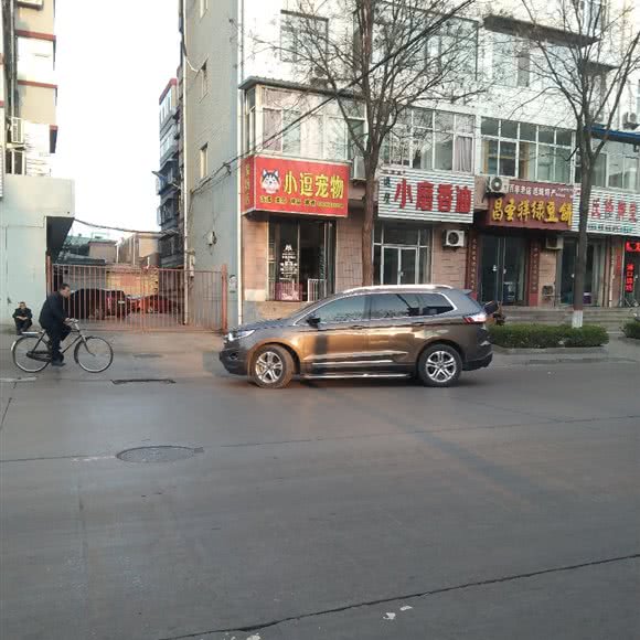 小逗宠物:晋中市介休市