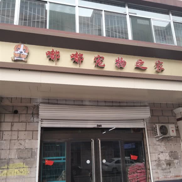 嘟嘟宠物之家:晋中市介休市