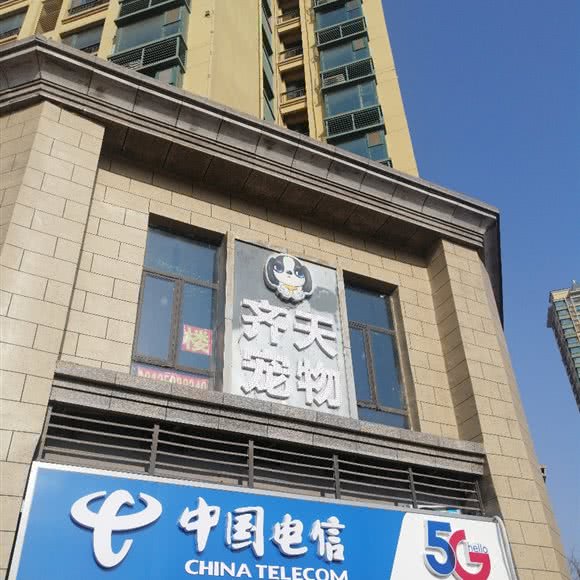 齐天宠物狗:运城市盐湖区