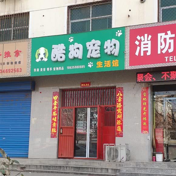 酷狗宠物生活馆:运城市临猗县
