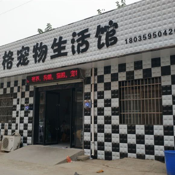 道格宠物生活馆:运城市临猗县