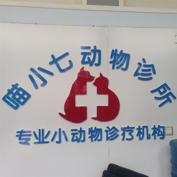 喵小七动物诊所:承德市双桥区陕西营附近