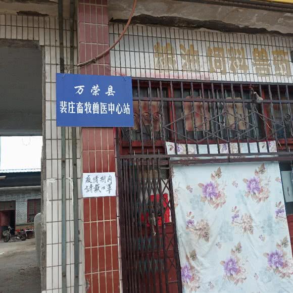 万荣县裴庄畜牧兽医中心站:运城市万荣县