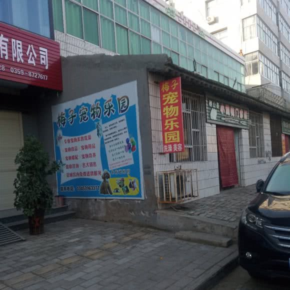 梅子宠物乐园:运城市稷山县