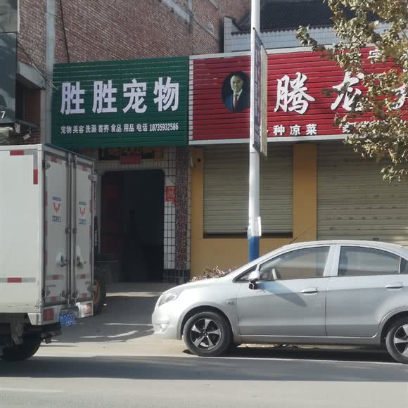 胜胜宠物:运城市夏县