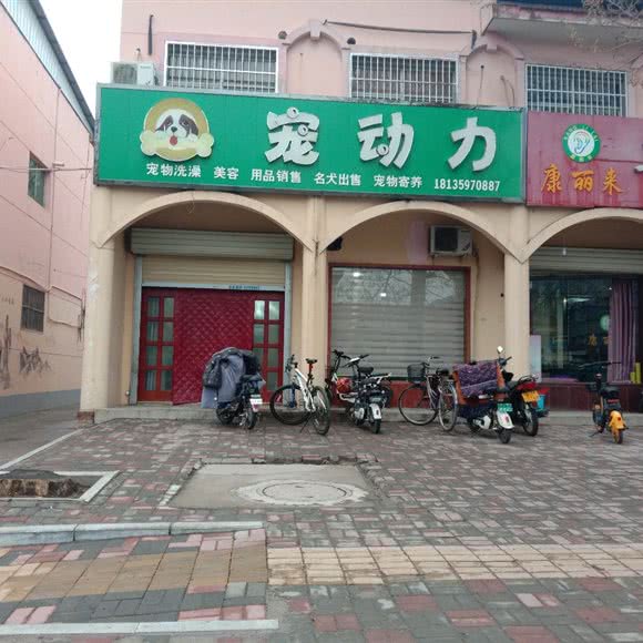 宠动力:运城市永济市