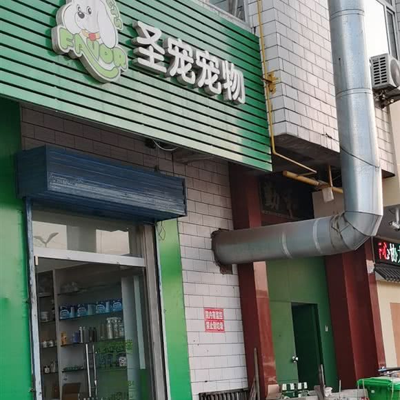 圣宠宠物:运城市河津市