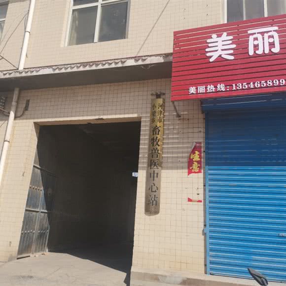 河津市小梁乡畜牧兽医中心站:运城市河津市