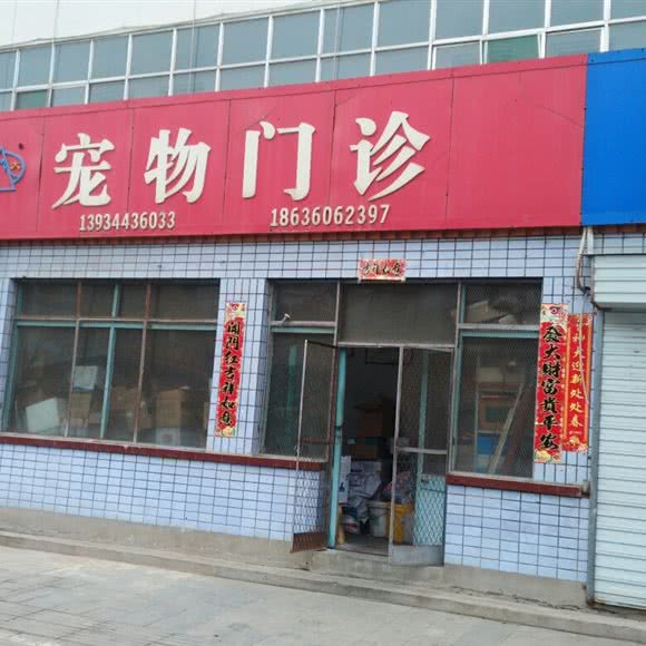 宠物门诊:忻州市定襄县