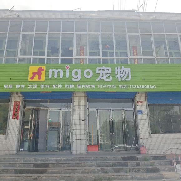 migo狗狗:忻州市五寨县
