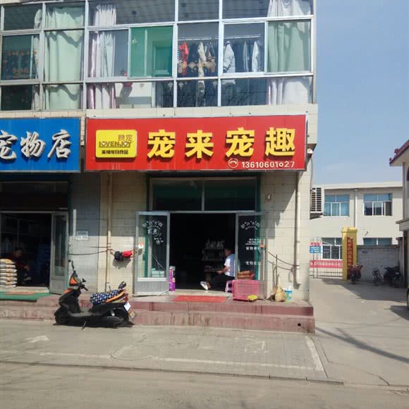 宠来宠趣:忻州市原平市