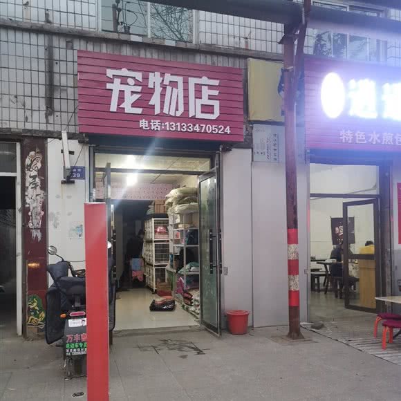 宠物店:临汾市尧都区