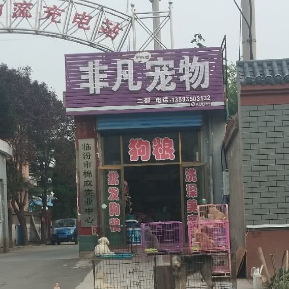 宠维滋非凡宠物二部:临汾市尧都区