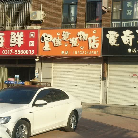 尽如人意宠宠物店:沧州市新华区东方世纪城附近