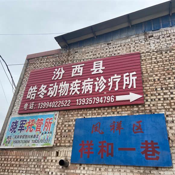 汾西县动物疾病诊疗所:临汾市汾西县