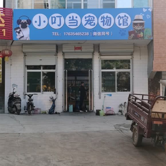 小叮当宠物馆:吕梁市离石区