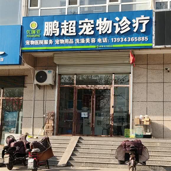 优瑞派鹏超宠物诊疗:吕梁市交城县