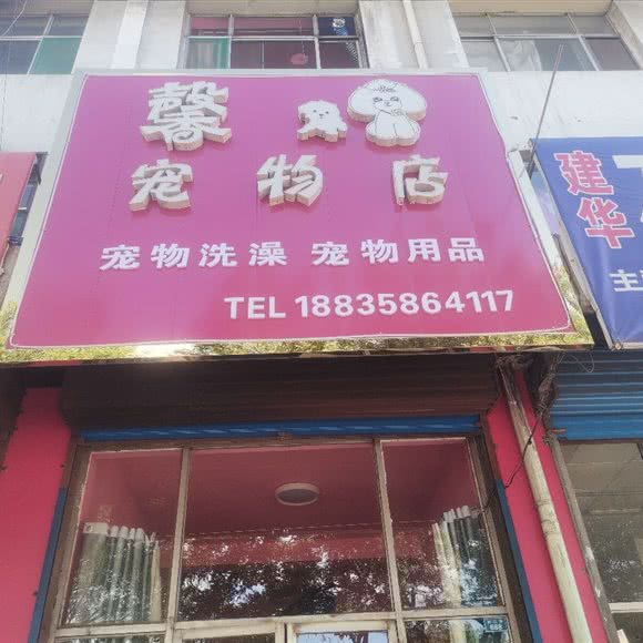 馨宠物店:吕梁市孝义市