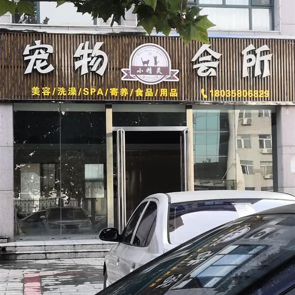 宠物会所:吕梁市汾阳市
