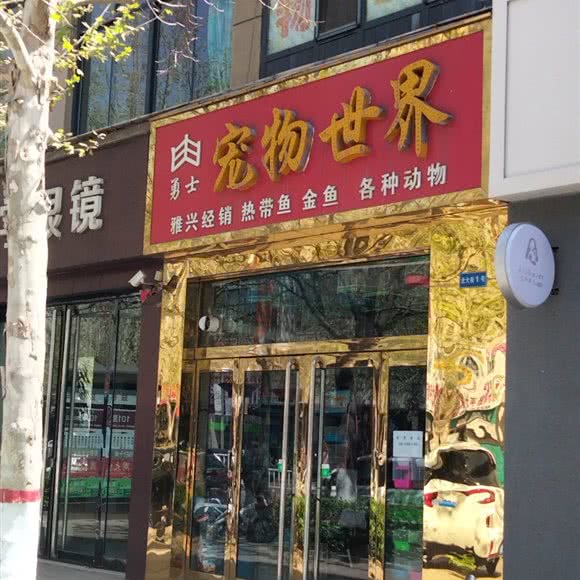 勇士宠物世界:吕梁市汾阳市
