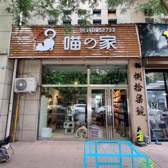 喵の家:吕梁市汾阳市