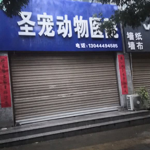 圣宠动物医院:吕梁市汾阳市