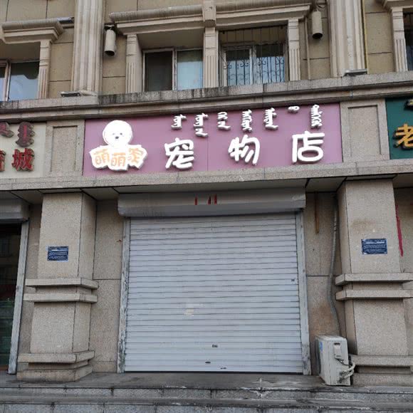 萌萌家宠物店:呼和浩特市新城区