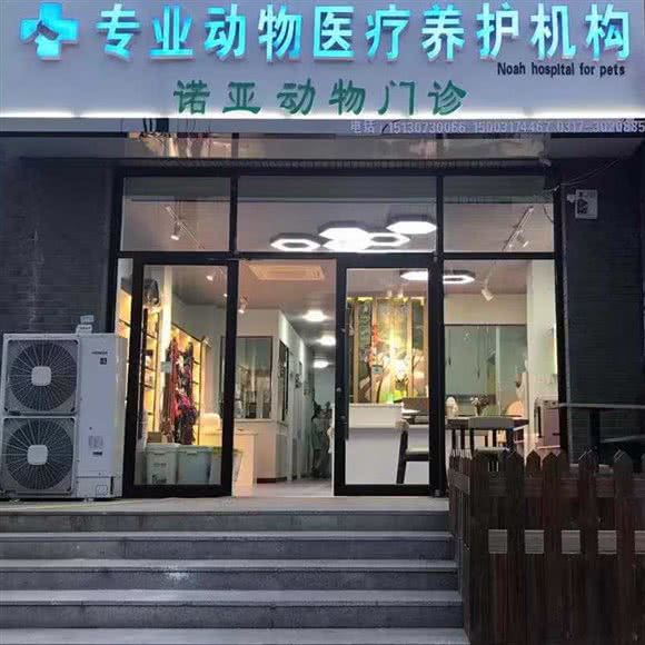 诺亚动物门诊:沧州市运河区南湖盐百附近