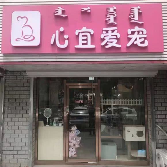 心宜爱宠:呼和浩特市赛罕区