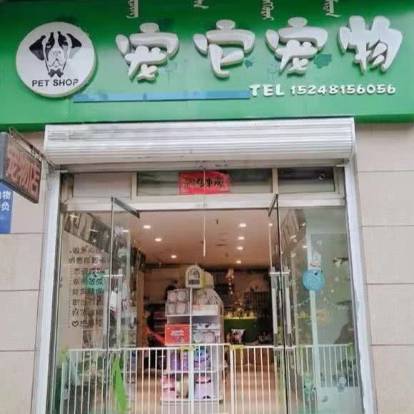 宠它宠物(雅阁新城店):呼和浩特市赛罕区