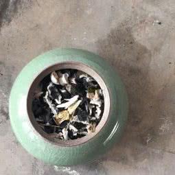 圣宠天堂宠物殡葬:呼和浩特市赛罕区