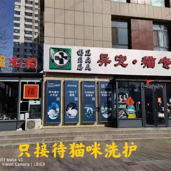 黑大夫喵汤·洗猫:沧州市运河区御河新城附近