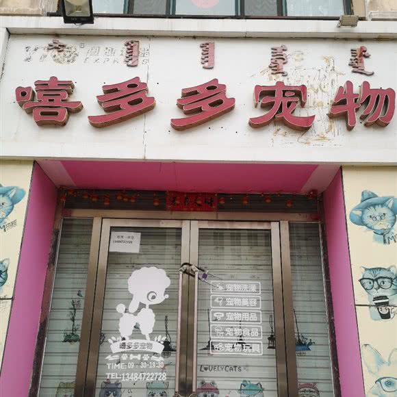 摇滚多多宠物:包头市东河区