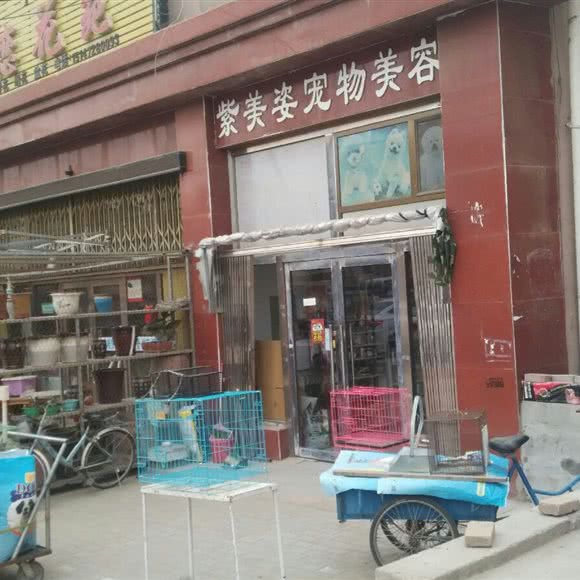 紫美姿宠物美容:包头市东河区