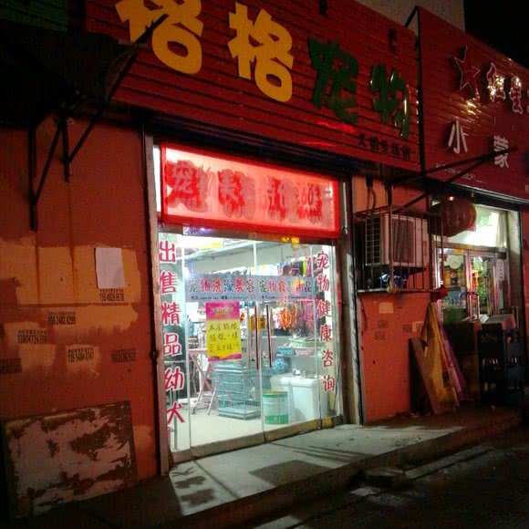 格格宠物:包头市东河区