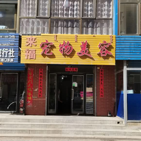 来福宠物美容:包头市东河区