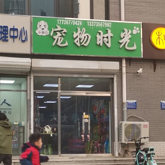 小西の狗狗时光:廊坊市安次区永华明珠附近