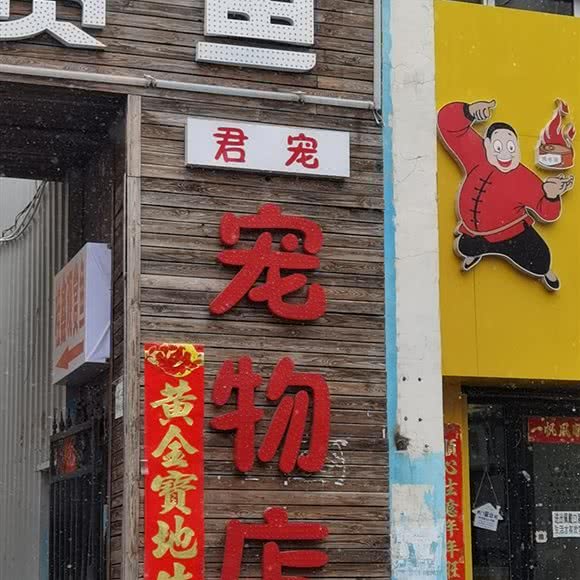 君宠宠物店:赤峰市巴林左旗