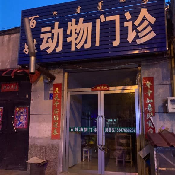 百姓动物门诊:赤峰市翁牛特旗