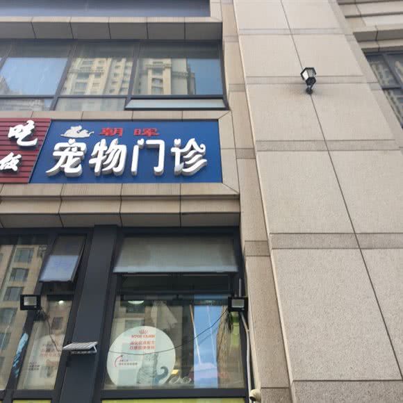 朝晖宠物门诊:廊坊市安次区永华明珠附近