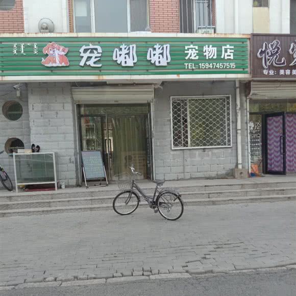 宠嘟嘟宠物店:通辽市科尔沁区