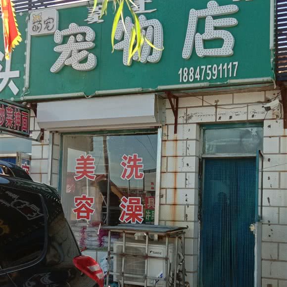 萌宠宠物店:通辽市科尔沁区