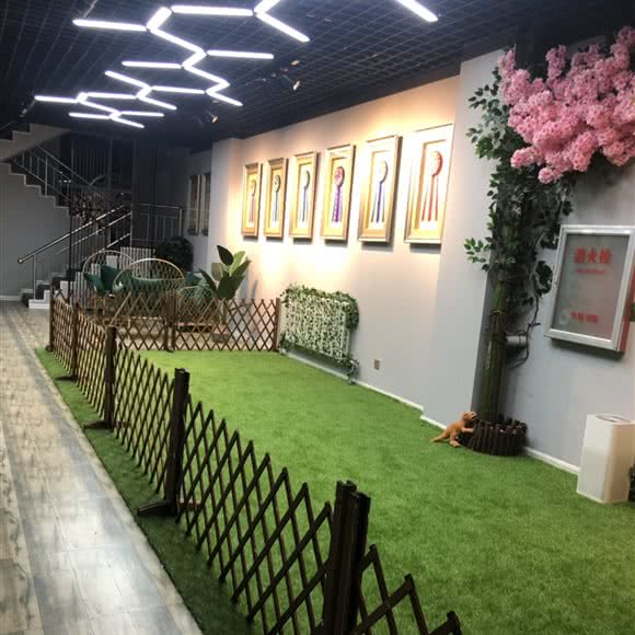 哈道盟高端宠物生活会所·技能培训(哈道盟宠物美容师培训):鄂尔多斯市东胜区