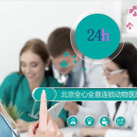 全心全意连锁动物医院犬猫专科24小时(东花市店):北京城区东城区广渠门内附近