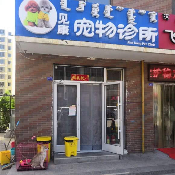 见康宠物诊所:鄂尔多斯市康巴什区