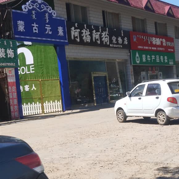 阿猫阿狗宠物店:鄂尔多斯市达拉特旗