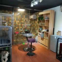 AA宠物SPA会所猫不二宠物店:鄂尔多斯市达拉特旗