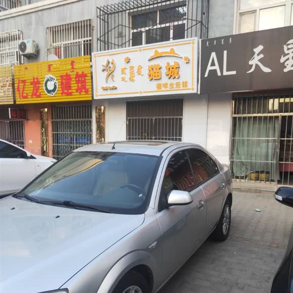 猫城:鄂尔多斯市达拉特旗