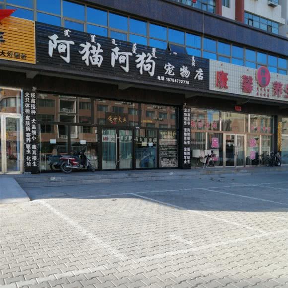 阿猫阿狗宠物店:鄂尔多斯市达拉特旗